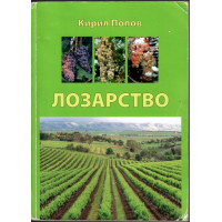 Лозарство