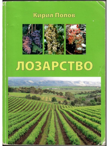 Лозарство