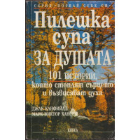 Пилешка супа за душата