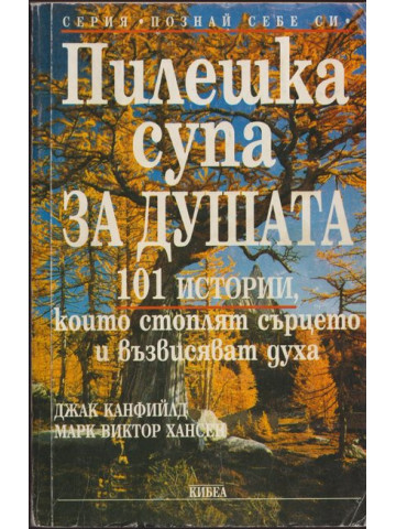 Пилешка супа за душата