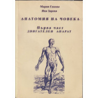 Анатомия на човека. Част 1: Двигателен апарат
