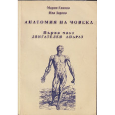 Анатомия на човека. Част 1: Двигателен апарат
