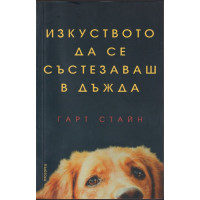 Изкуството да се състезаваш в дъжда