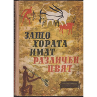 Защо хората имат различен цвят