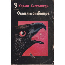 Огънят отвътре