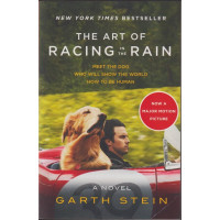 The Art of Racing in the Rain