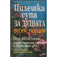 Пилешка супа за душата. Втора порция