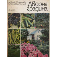 Дворна градина