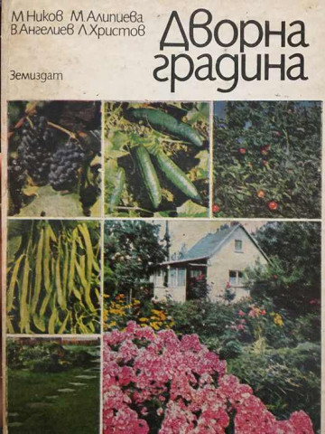 Дворна градина