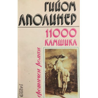 11000 камшика