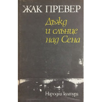 Дъжд и слънце над Сена